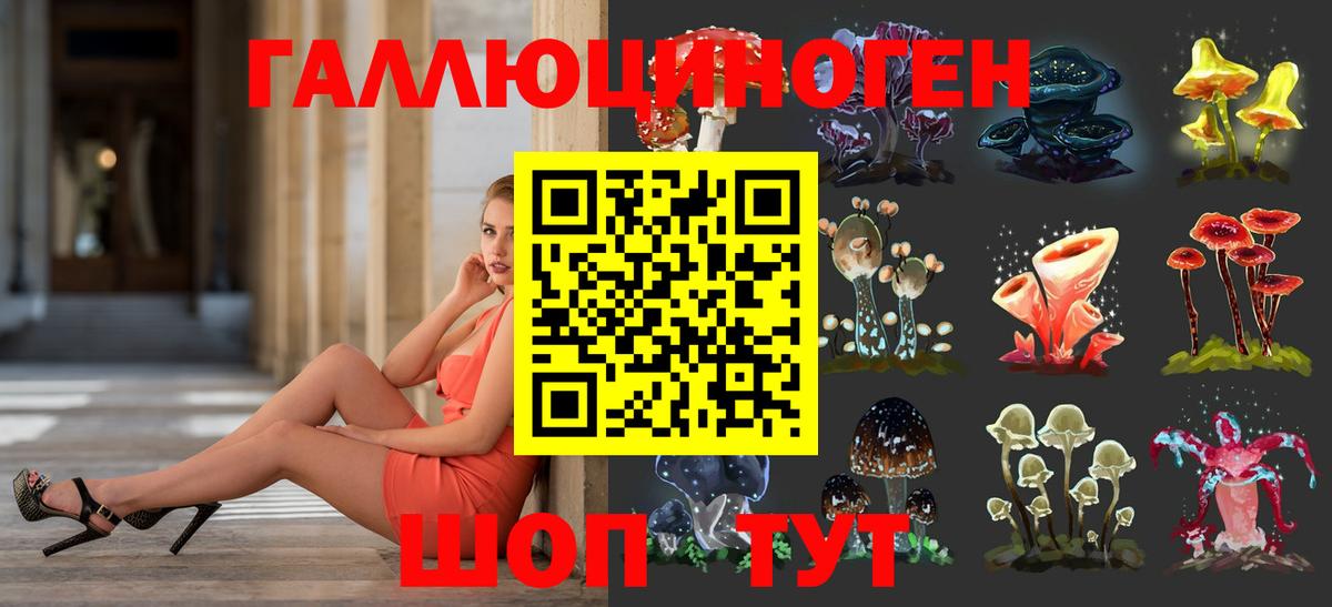 Камень-на-Оби  Галлюциногенные грибы мухоморы  Вход с VPN 