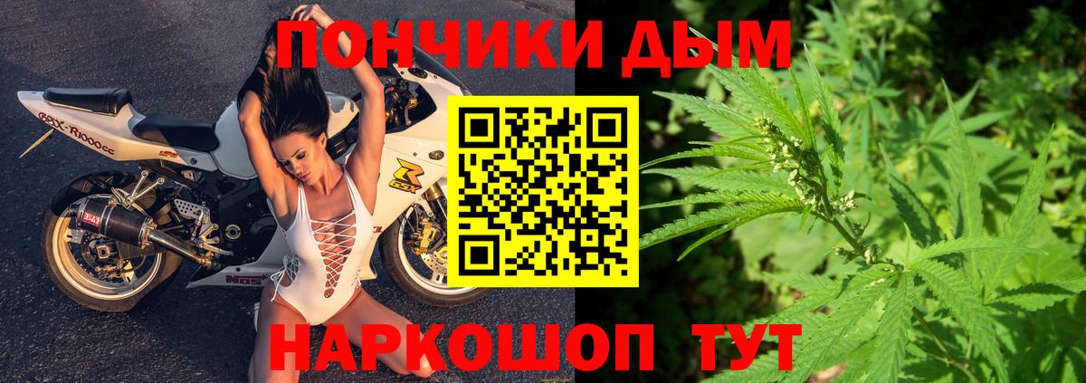 Камень-на-Оби  Каннабис план  Конопля тримм  Вход с VPN  Шишки марихуана сатива 
